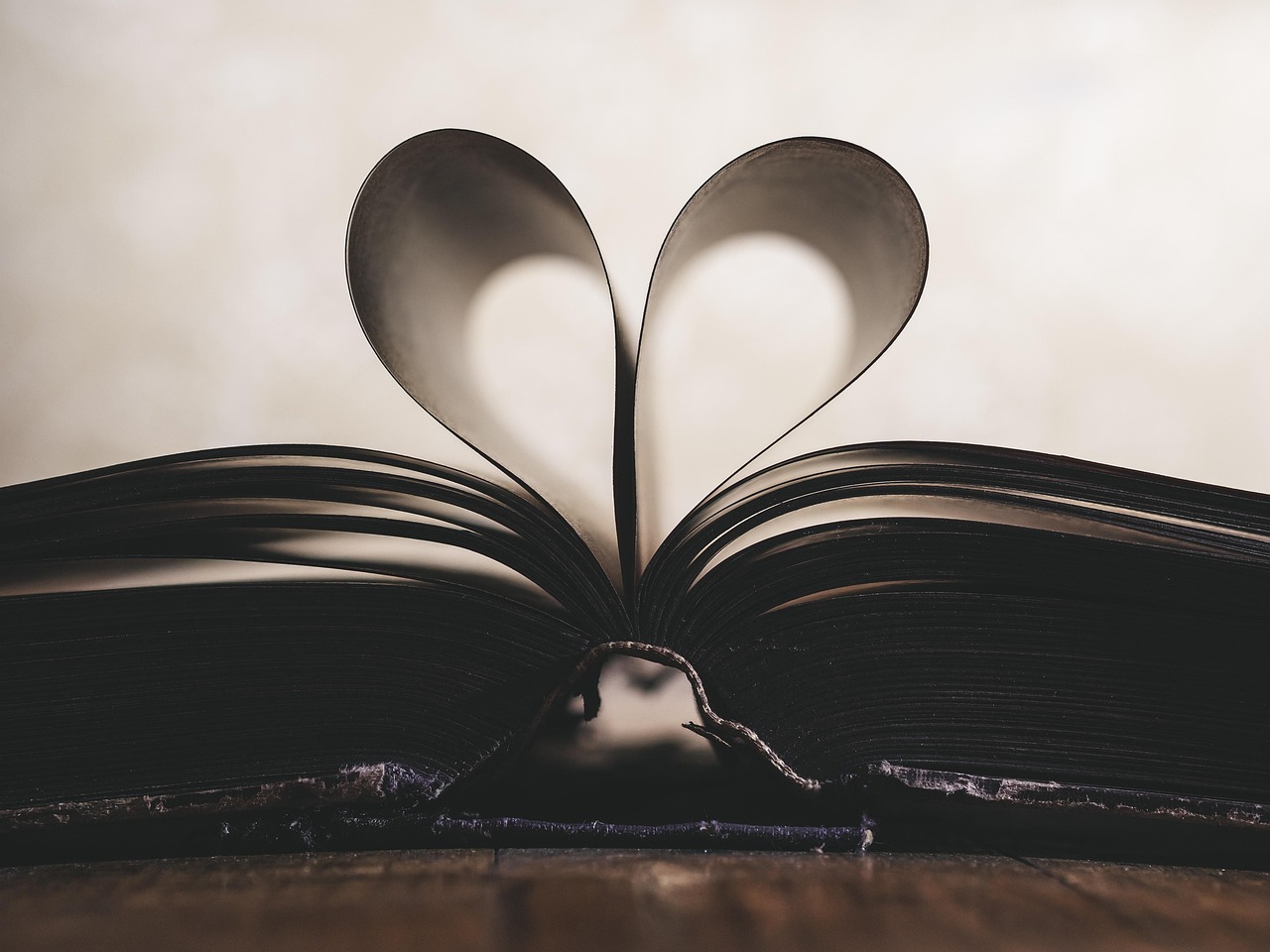 valentines day background, paper, heart, symbol, romance, valentine, love, open, page, book, inspiration, study, read, education, concept